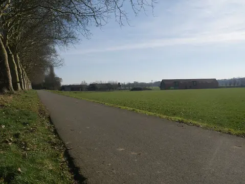 Verhard wandel- en fietspad langs bomen en open velden