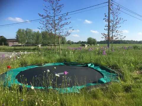Ingegraven trampoline tussen het gras en de bloemen