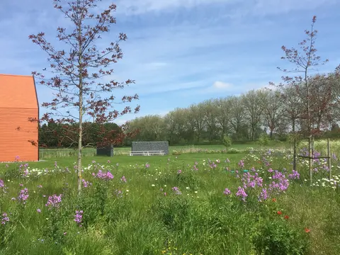 Bloemen en jonge bomen naast de bakstenen vakantiewoning